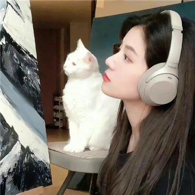 翻叮一族粤语